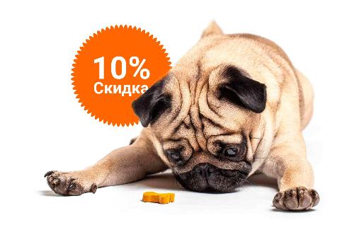 -10% на зоотовары акция в Реже компании Инженер выгодно