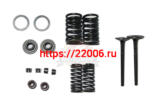 Ремкомплект головки двигатель 1P63QMK (клапана, сухари, пружины, тарелки) (R02-E03-2,3,4,5,7,8,9,10)