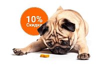 -10% на зоотовары акция в Реже компании Инженер выгодно