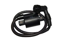 Катушка зажигания CB250 см3 Zongshen ZS 172FMM-5 с проводом и свечным колпачком (100204266-0006)