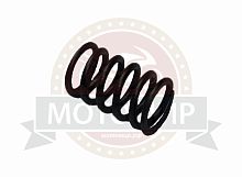 Пружина клапана R07-GY60  24мм