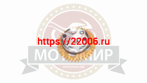 Насос масляный 166FMM в сборе с шестерней 39з фото 2